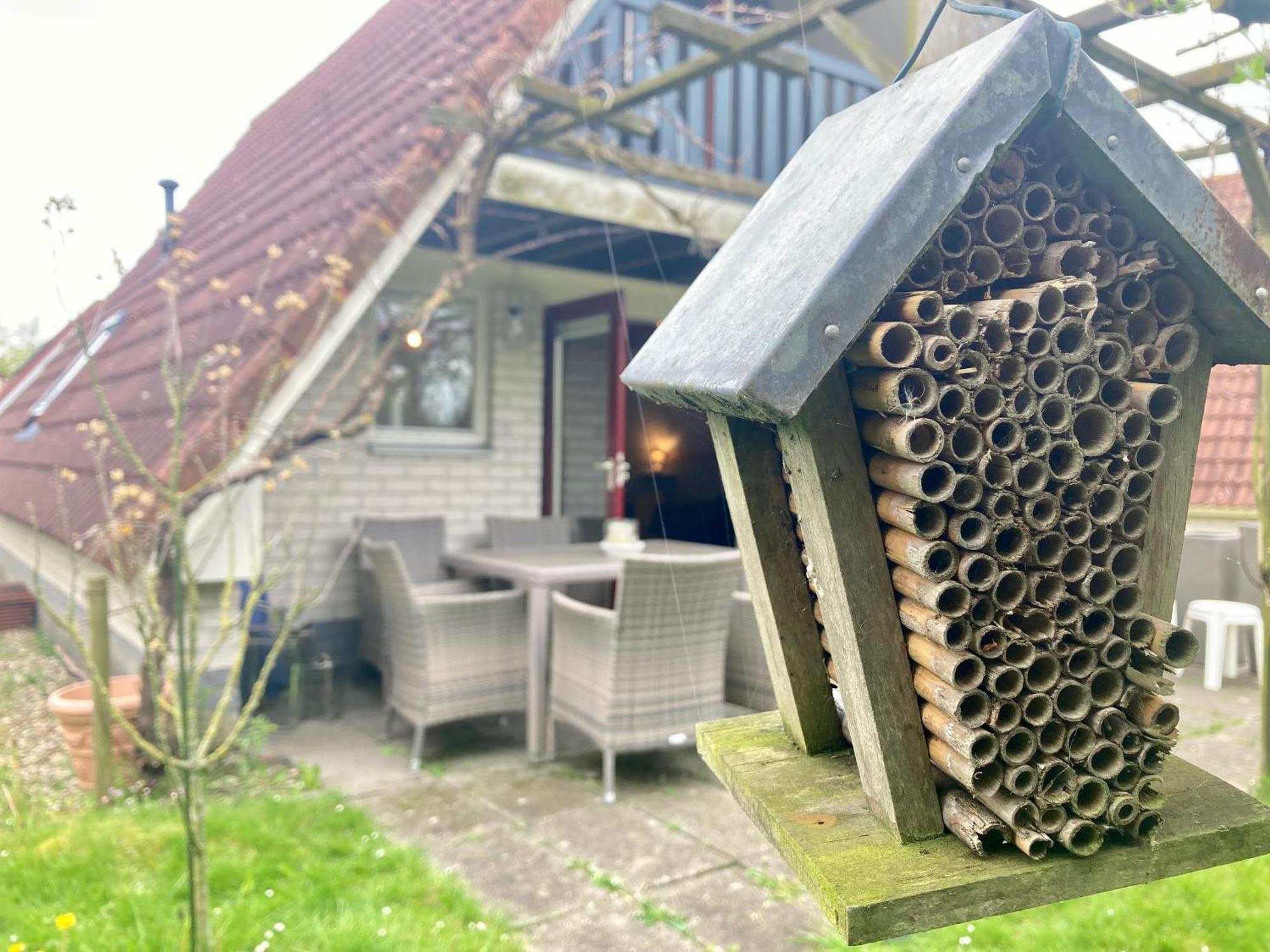 De Druif 6 Pers Holiday Home Close To The National Park Lauwersmeer Anjum Zewnętrze zdjęcie
